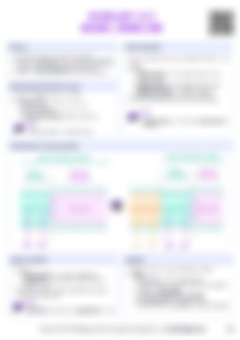 IB Bio C2.2 Neural signalling Cheatsheet — cheatsheet preview