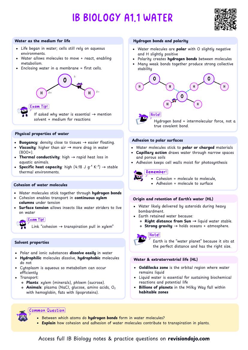 IB Bio A1.1 Water Cheatsheet