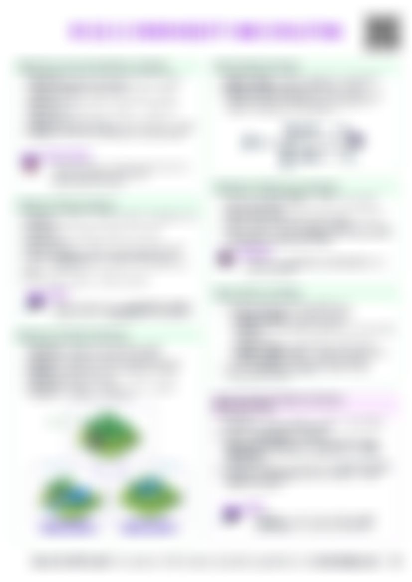 IB ESS 3.1 Biodiversity and evolution Cheatsheet — cheatsheet preview