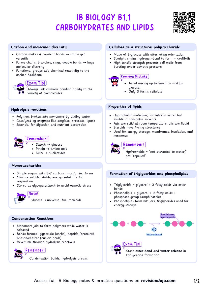 IB Bio B1.1 Carbs & Lipids Cheatsheet
