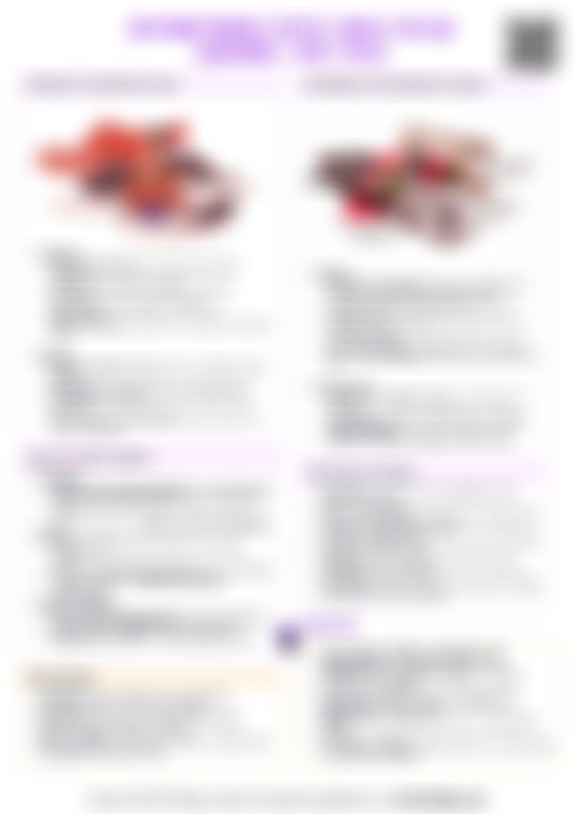 IB History Authoritarian States: Adolf Hitler (Germany, 1933–1945) — cheatsheet preview