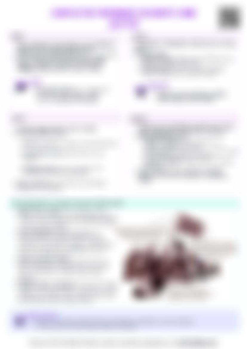 IB Global Politics 2.1 Conflicting Views on Rights and Justice Cheat Sheet — cheatsheet preview