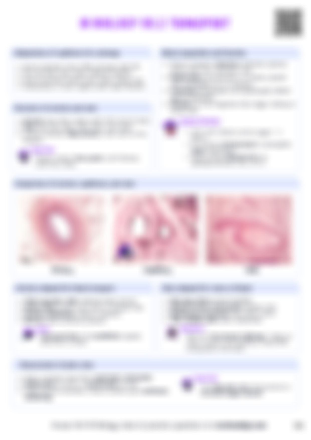 IB Bio B3.2 Transport Cheatsheet — cheatsheet preview