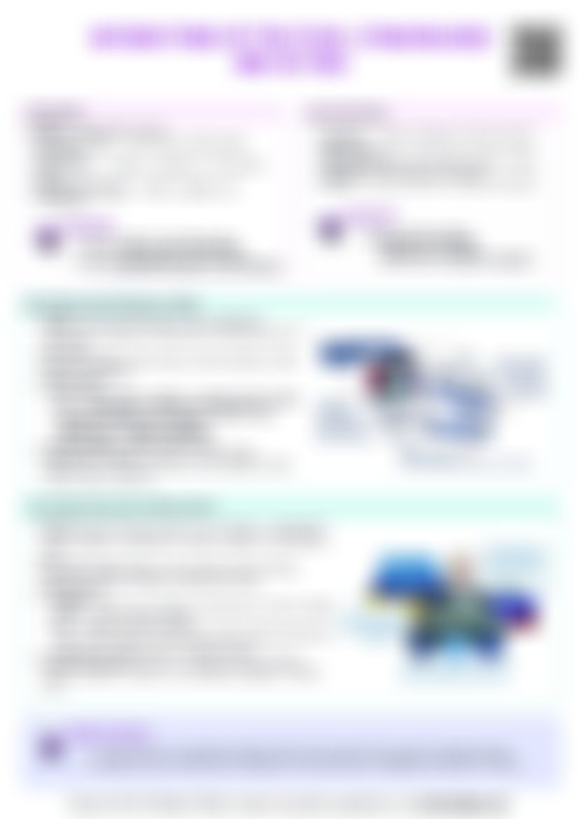 IB Global Politics 4.2 Interactions of political stakeholders and actors Cheat Sheet — cheatsheet preview