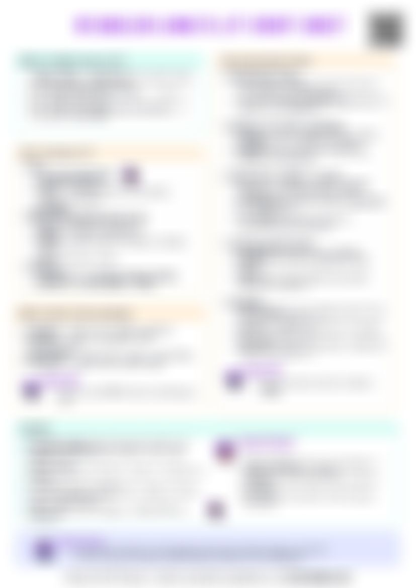 IB English Lang & Lit Paper 1 Cheatsheet — cheatsheet preview