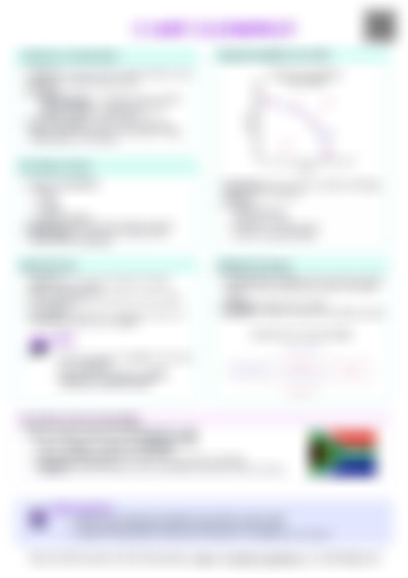 IB Econ 1.1 What is economics? Cheatsheet — cheatsheet preview