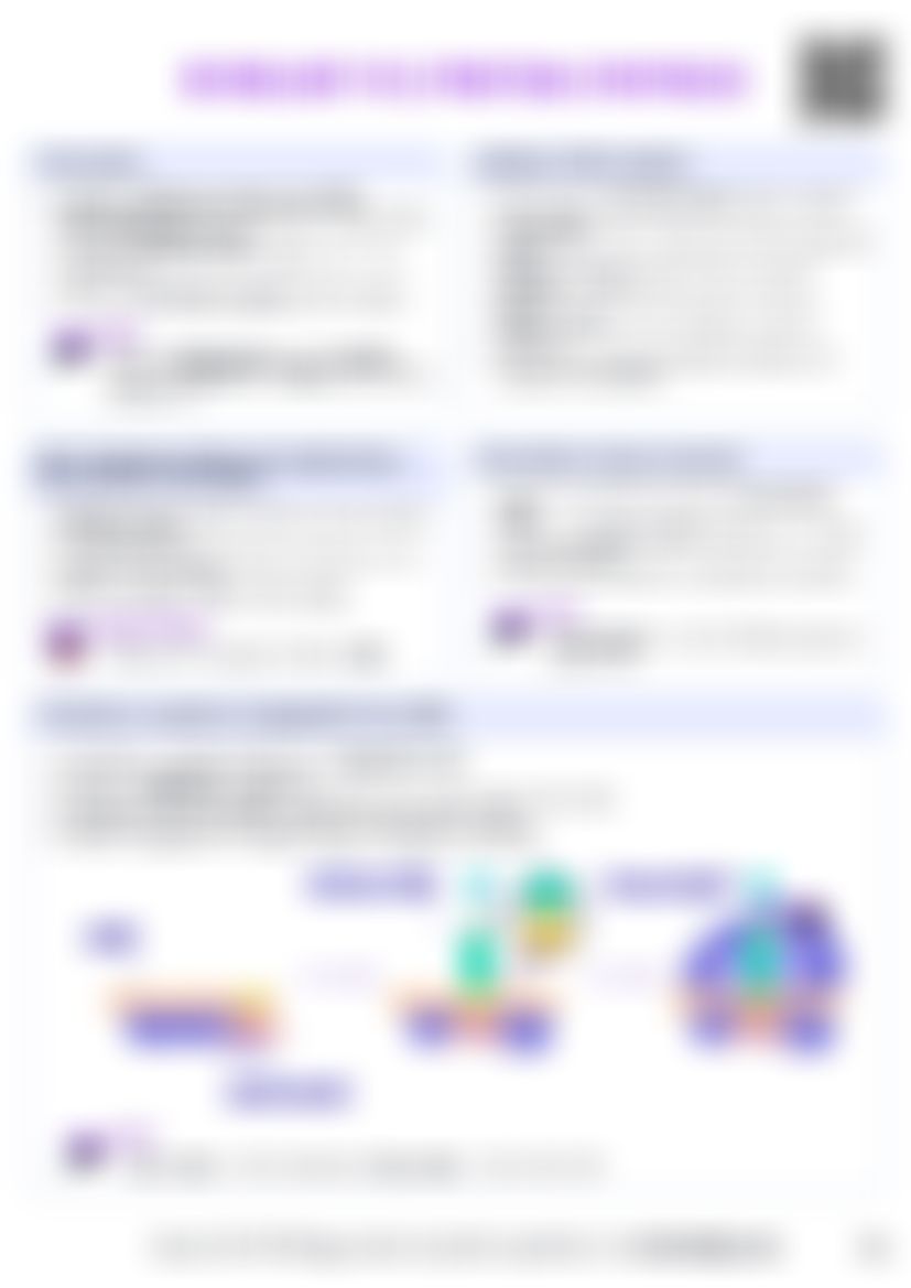 IB Bio D1.2 Protein synthesis Cheatsheet — cheatsheet preview