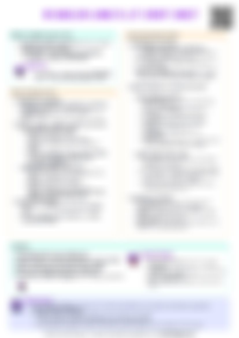 IB English Lang & Lit IO Cheatsheet — cheatsheet preview