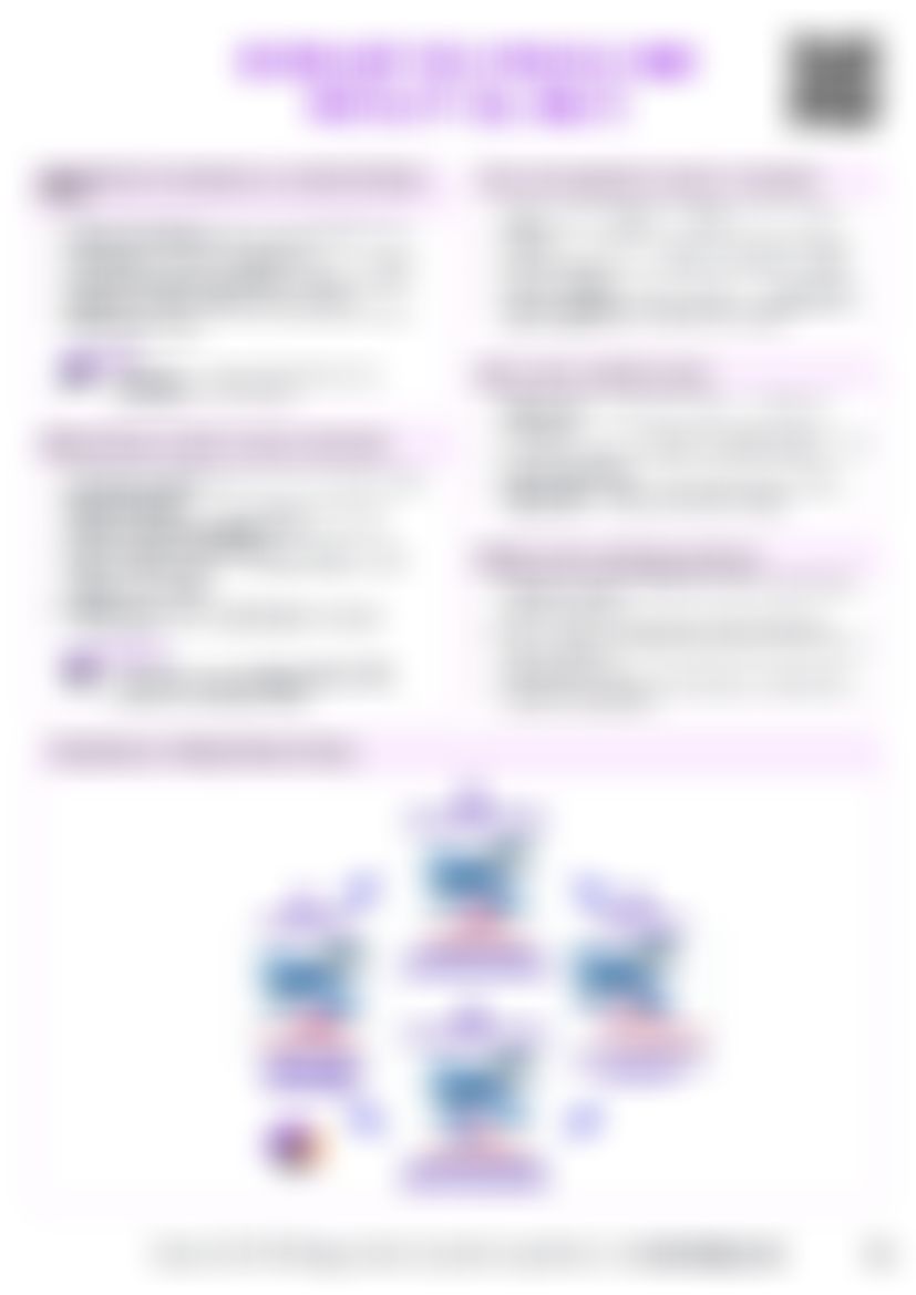 IB Bio B3.3 Muscle and motility Cheatsheet (HL) — cheatsheet preview
