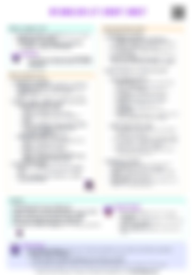 IB English Lit IO Cheatsheet — cheatsheet preview
