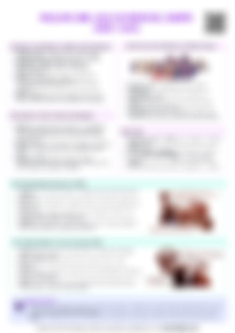 IB History: Section 2 - Muslims and Jews in Medieval Europe (1095–1492) — cheatsheet preview