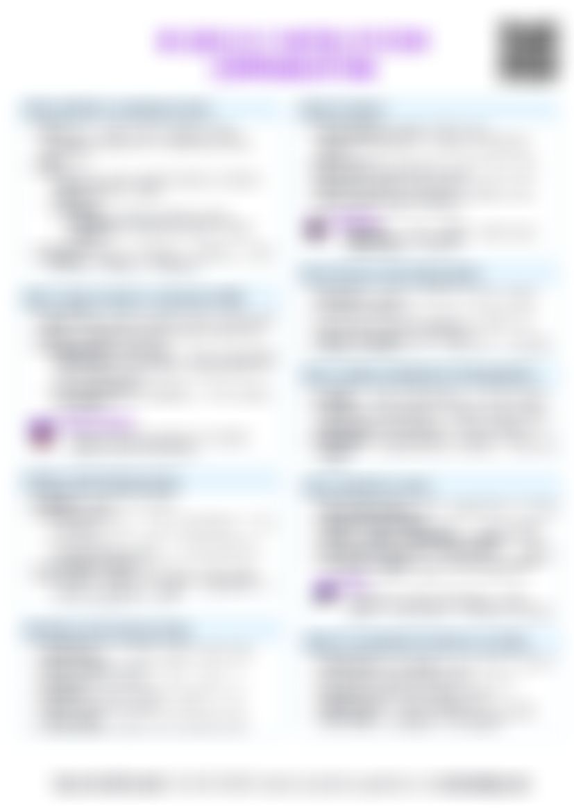 IB SEHS A.1.1 Inter-system communication Cheatsheet — cheatsheet preview