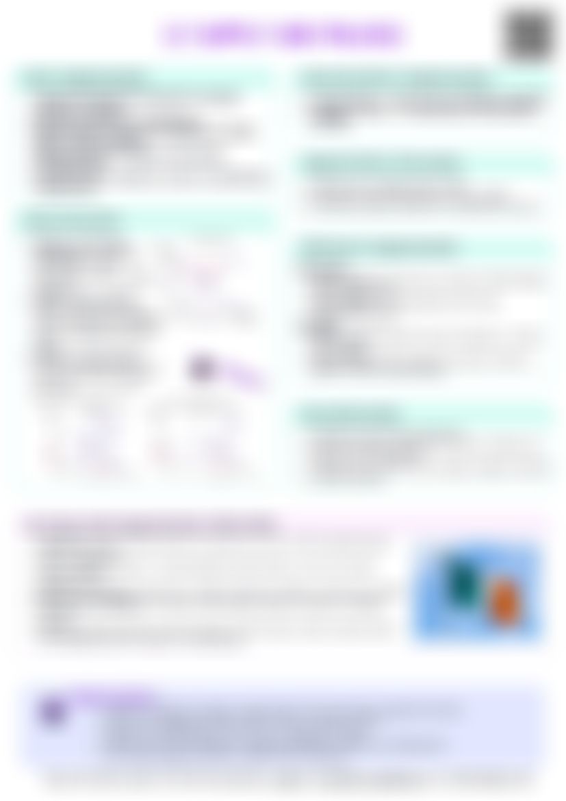 IB Econ 3.7 Supply side policies Cheatsheet — cheatsheet preview