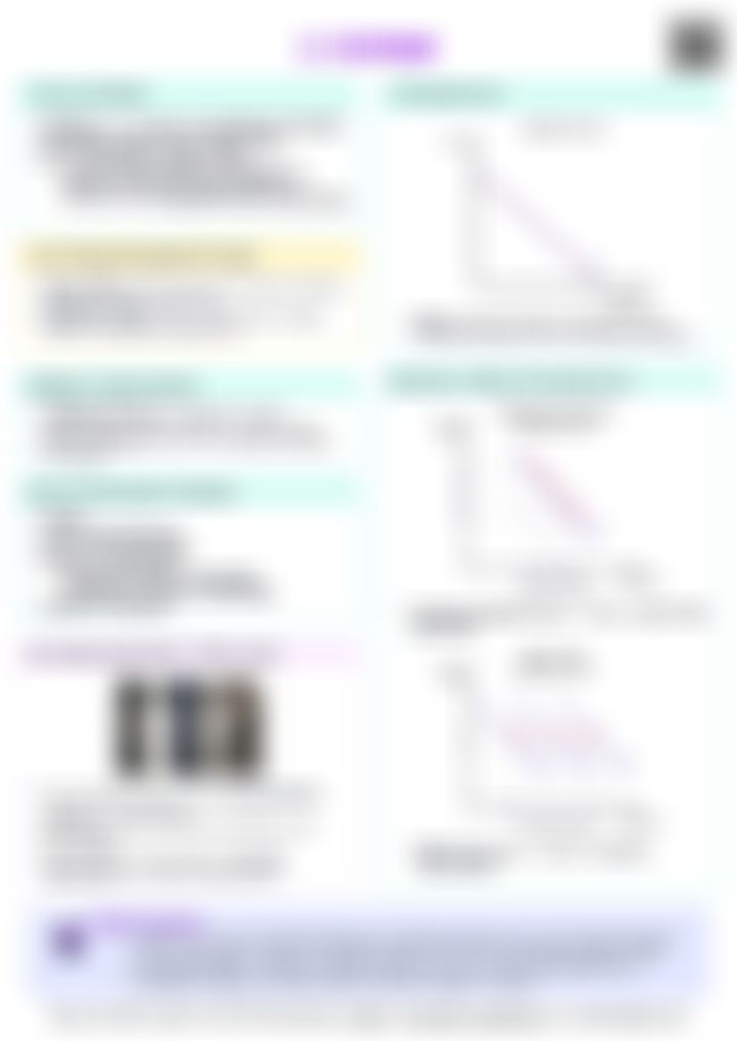 IB Econ 2.1 Demand Cheatsheet — cheatsheet preview
