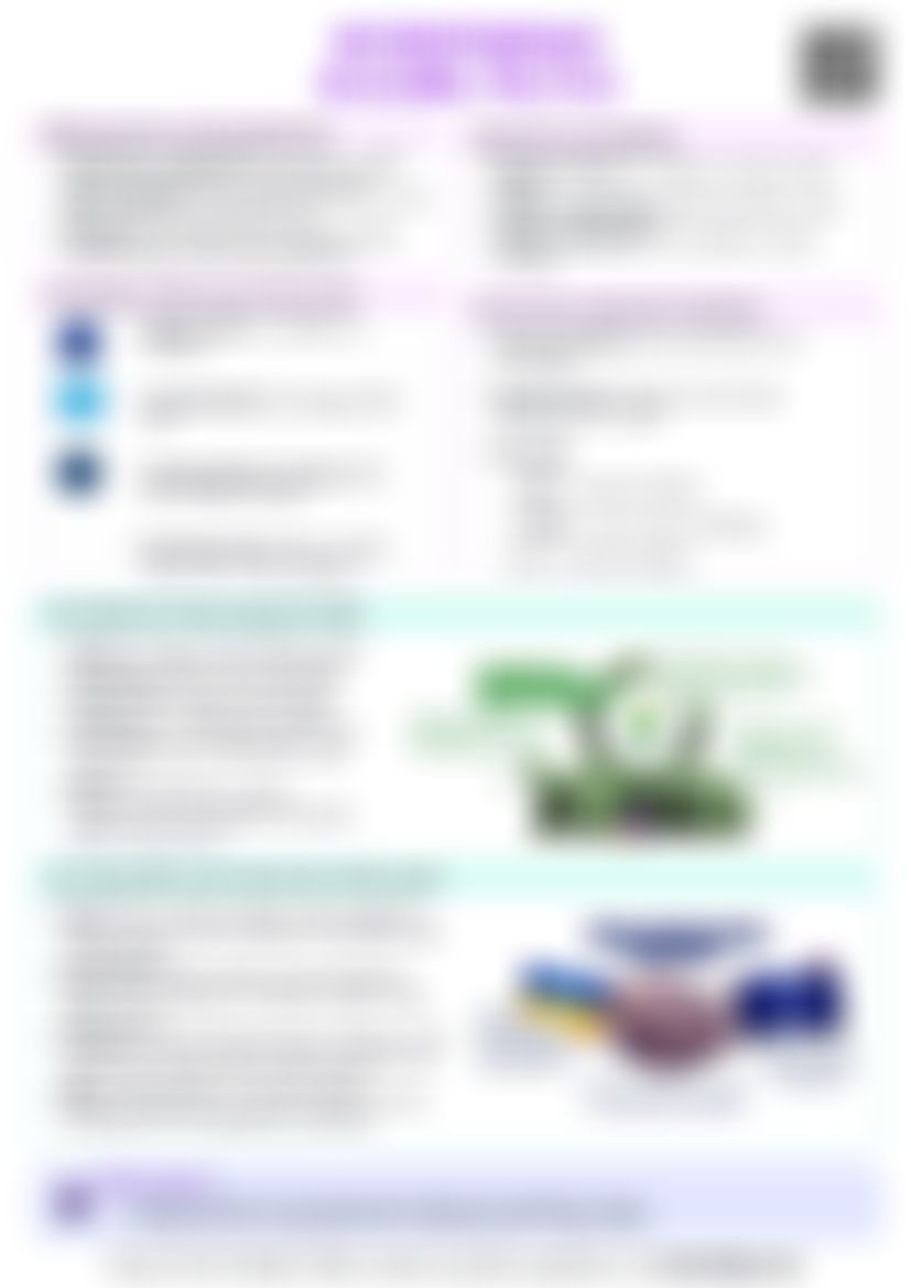 IB Global Politics 1.5 Interdependence Cheat Sheet — cheatsheet preview