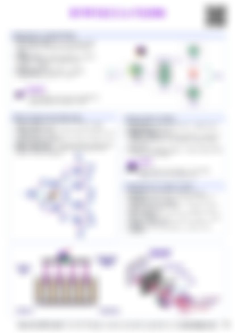 IB Physics E.4 Fission — cheatsheet preview