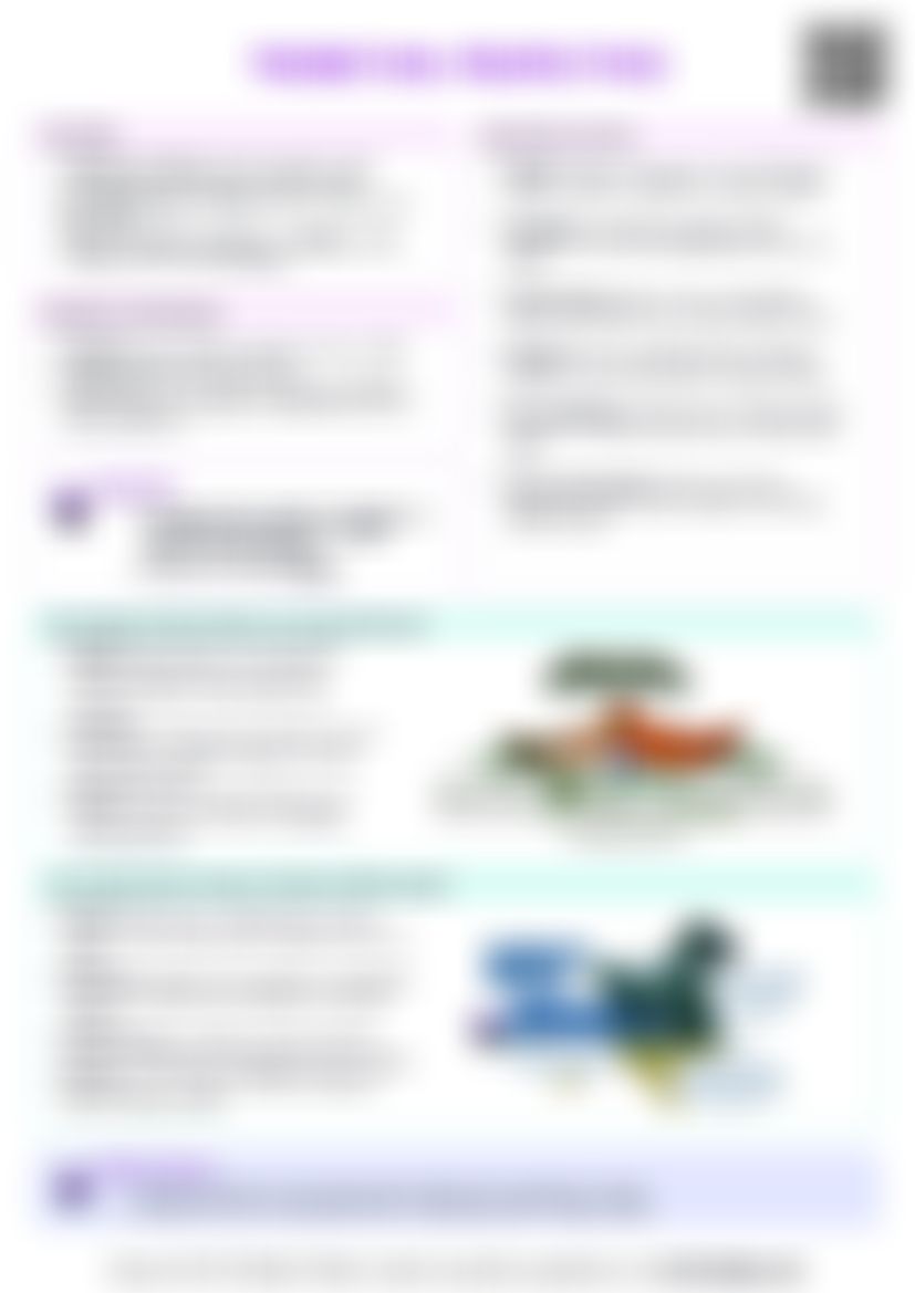 IB Global Politics 1.6 Theoretical perspectives Cheat Sheet — cheatsheet preview
