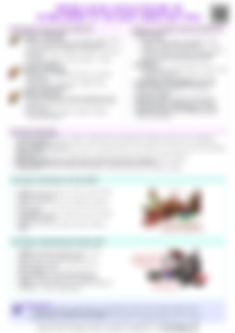 IB History: Section 12 - Imperial Russia, Revolution and the Establishment of the Soviet Union (1855–1924) — cheatsheet preview