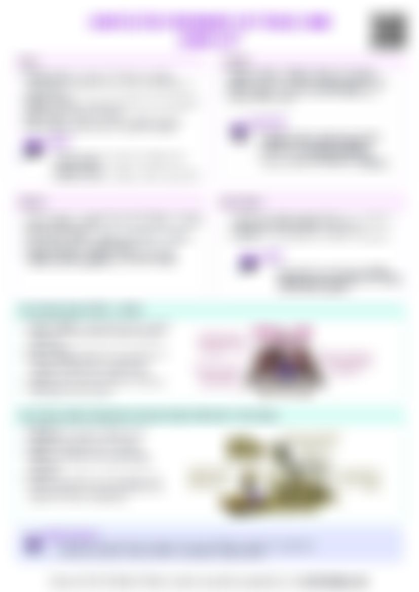 IB Global Politics 4.1 Contested meanings of peace and conflict Cheat Sheet — cheatsheet preview