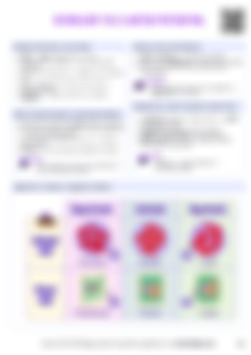 IB Bio D2.3 Water potential Cheatsheet — cheatsheet preview