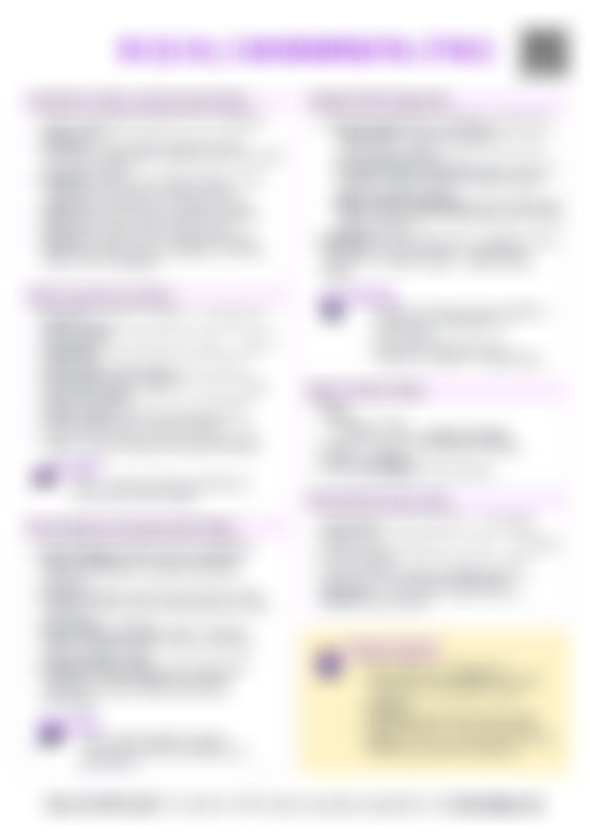 IB ESS HL.c Environmental ethics Cheatsheet — cheatsheet preview