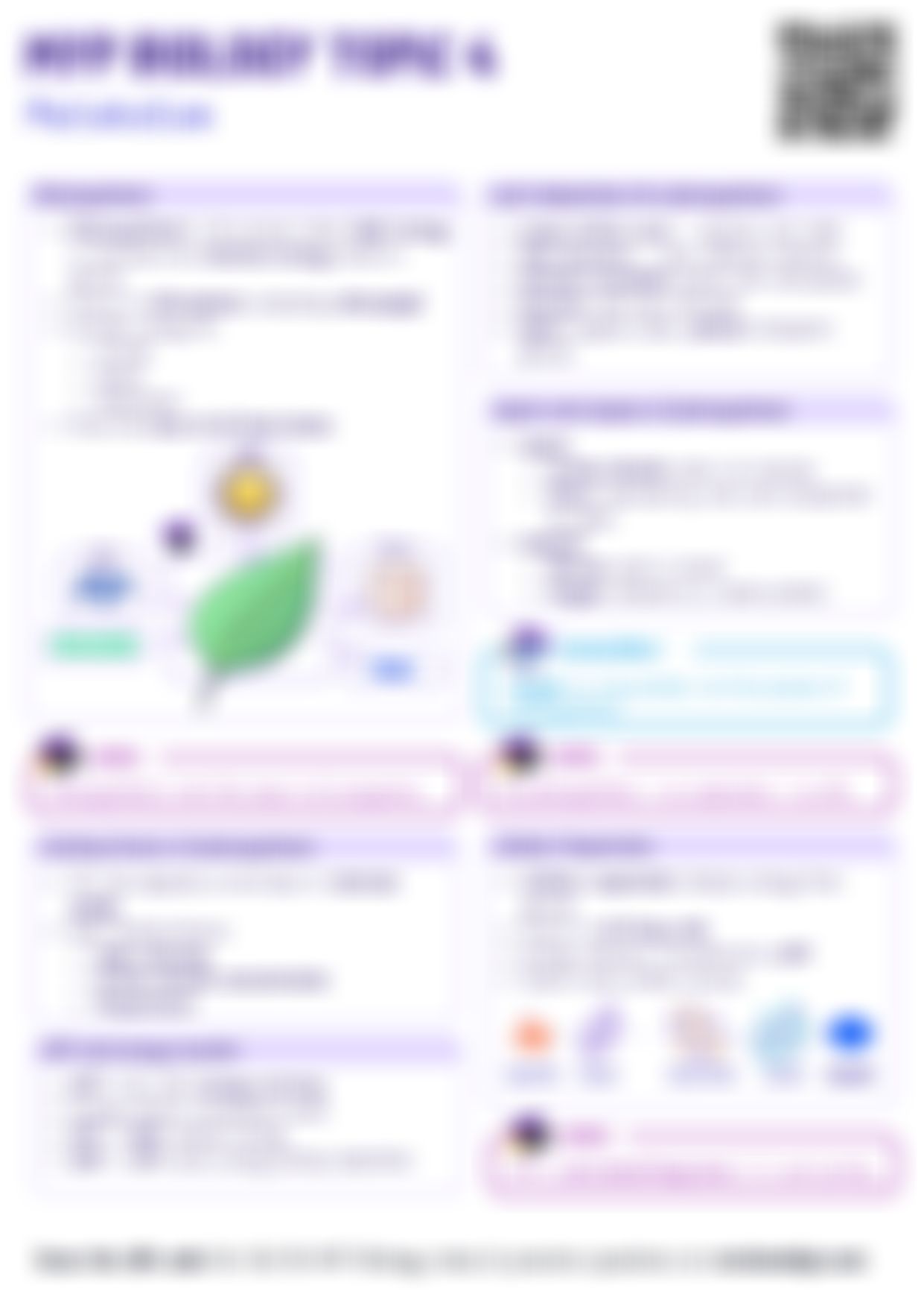 MYP Biology Metabolism Cheatsheet — PDF cheatsheet preview