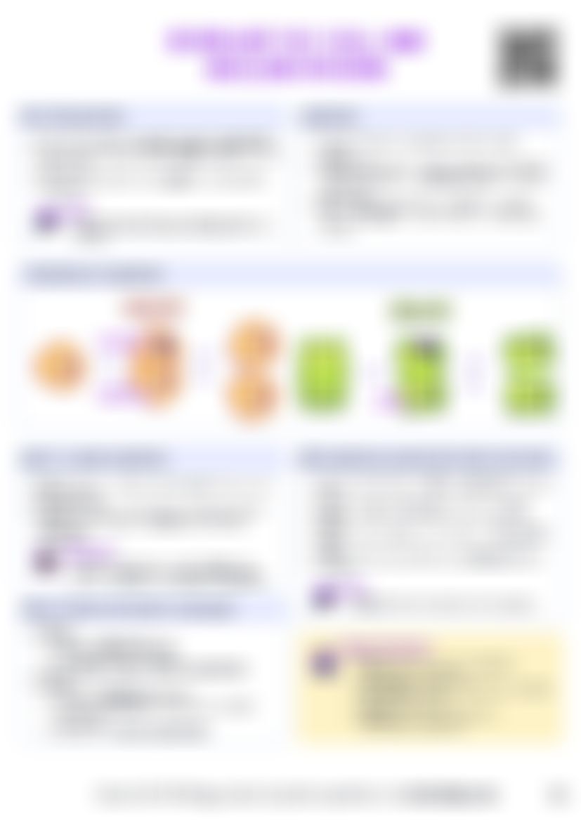 IB Bio D2.1 Cell and nuclear division Cheatsheet — cheatsheet preview