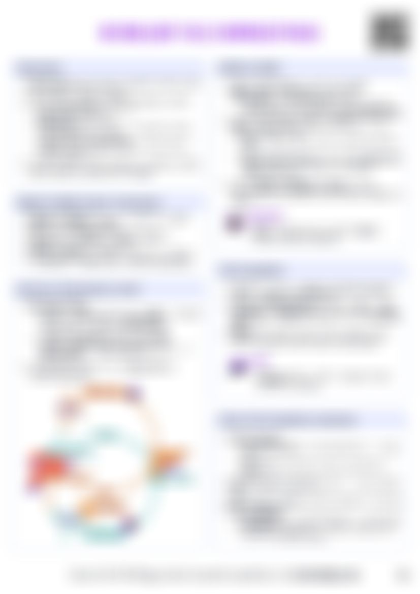 IB Bio D3.3 Homeostasis Cheatsheet — cheatsheet preview