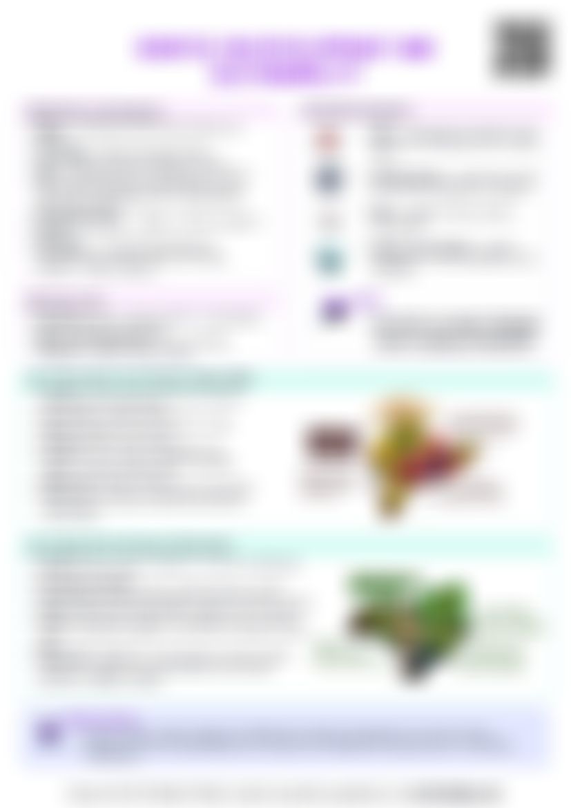 IB Global Politics 3.4 Debates on development and sustainability Cheat Sheet — cheatsheet preview