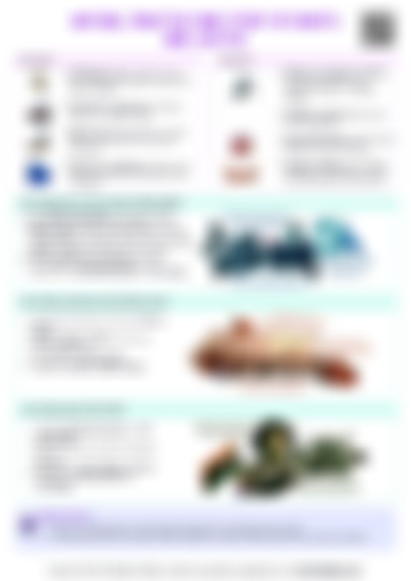 IB Global Politics 2.3 Nature, practice and study of rights and justice Cheat Sheet — cheatsheet preview