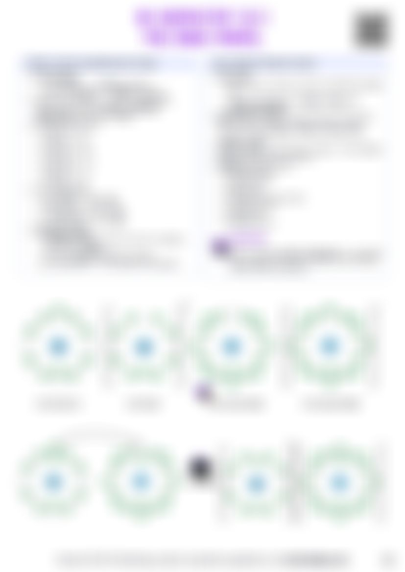 IB Chemistry S2.1 The ionic model — cheatsheet preview