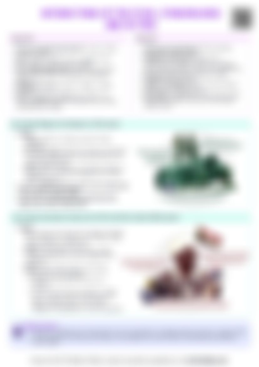 IB Global Politics 2.2 Interactions of political stakeholders and actors Cheat Sheet — cheatsheet preview