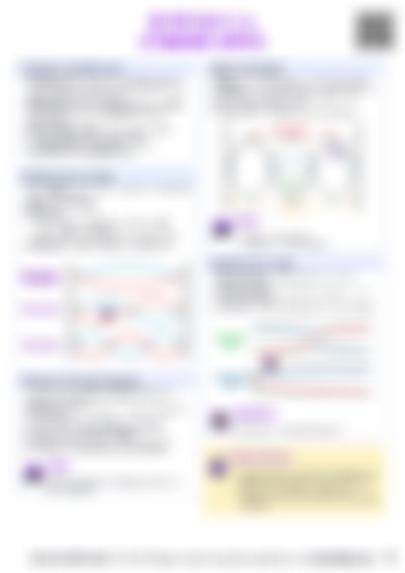 IB Physics C.4 Standing waves and resonance — cheatsheet preview