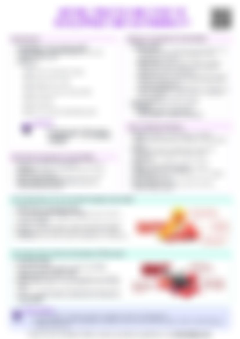 IB Global Politics 3.3 Nature, practice and study of development and sustainability Cheat Sheet — cheatsheet preview