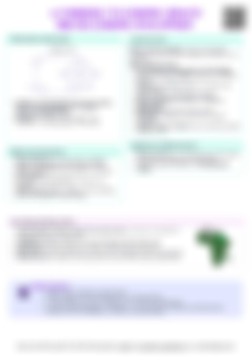 IB Econ 4.9 Barriers to Economic Growth and Economic Development Cheatsheet — cheatsheet preview