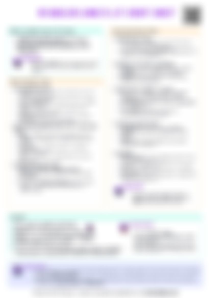 IB English Lang & Lit HL Essay Cheatsheet — cheatsheet preview