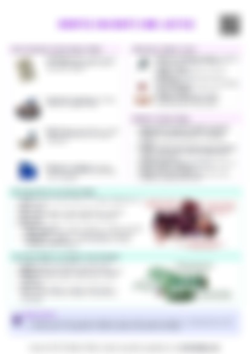 IB Global Politics 2.4 Debates on rights and justice Cheat Sheet — cheatsheet preview