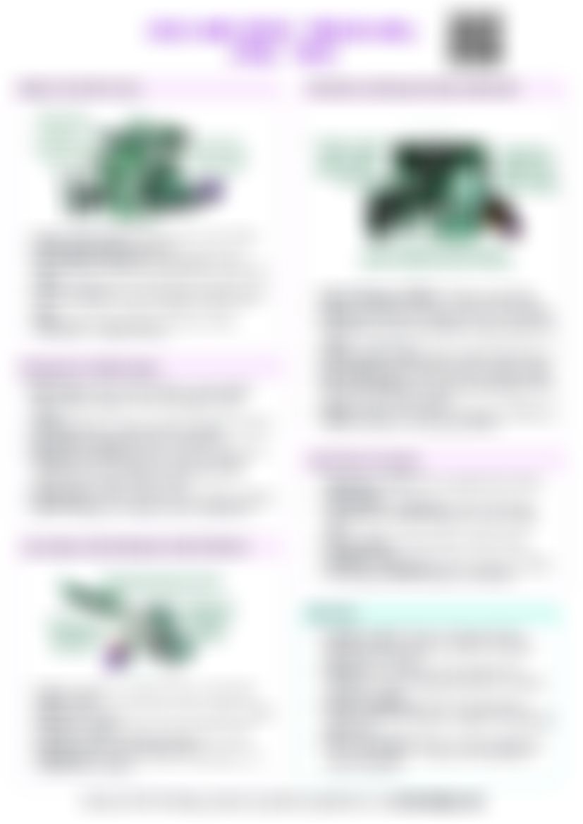 IB History: Cold War Crises - Berlin Wall (1958 - 1961) — cheatsheet preview