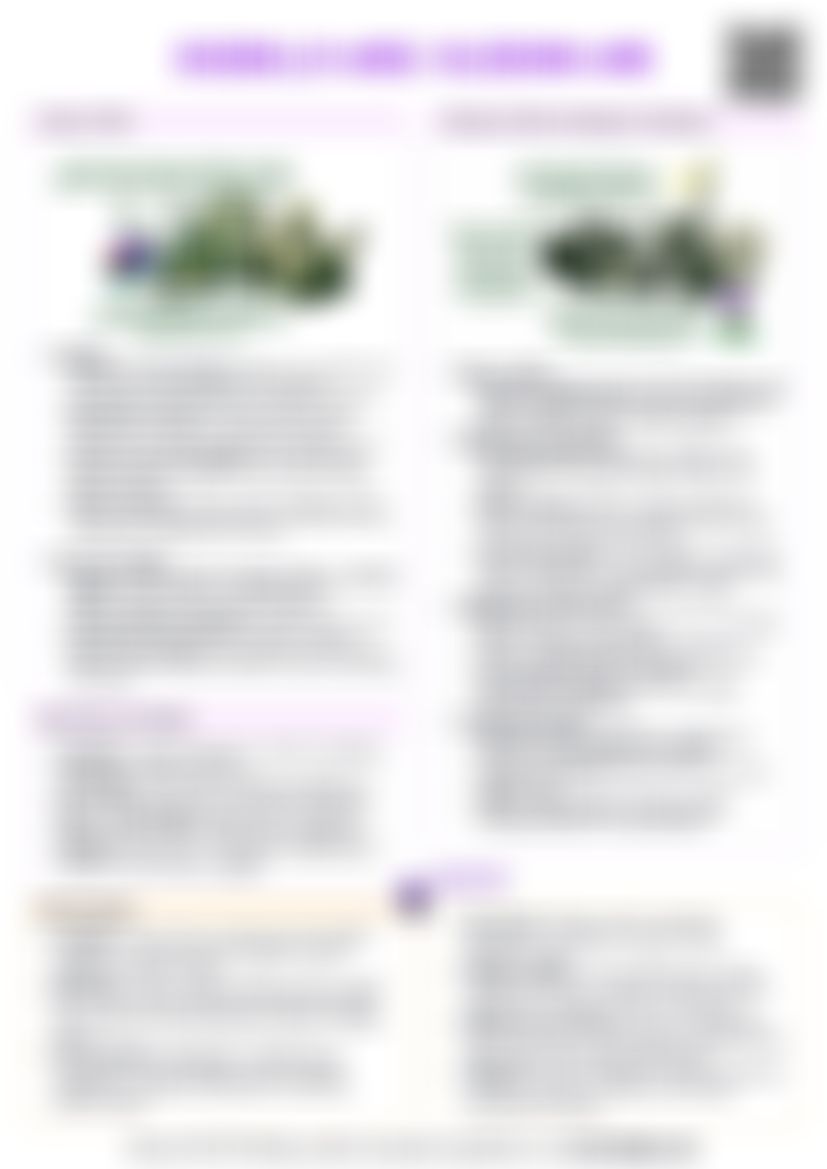 IB History: Guerrilla Wars - Algerian War — cheatsheet preview