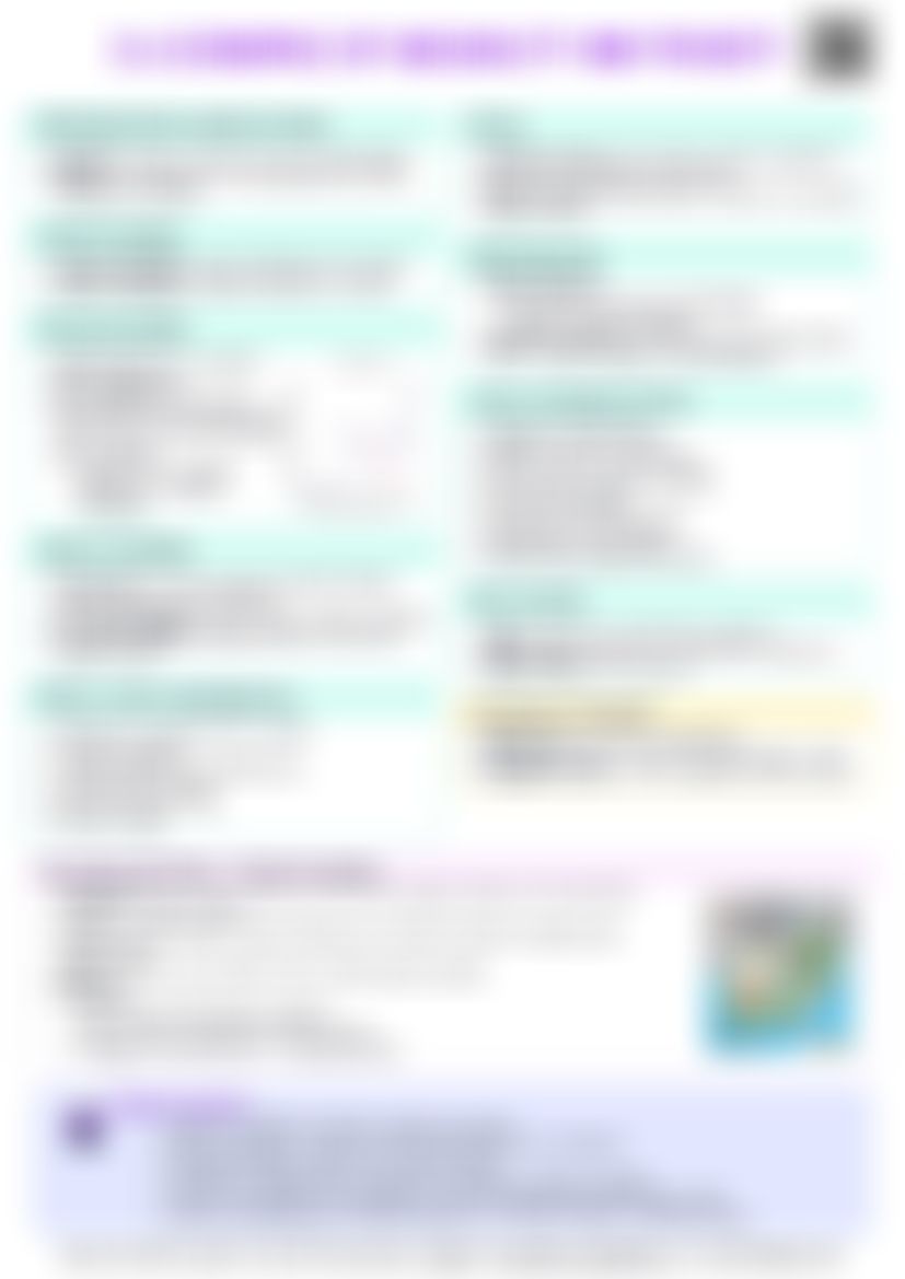 IB Econ 3.4 Economics of inequality and poverty Cheatsheet — cheatsheet preview