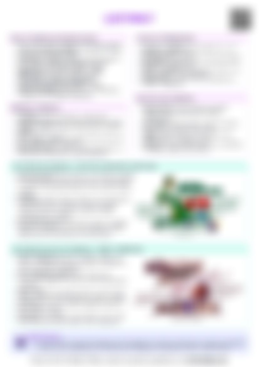 IB Global Politics 1.4 Legitimacy Cheat Sheet — cheatsheet preview