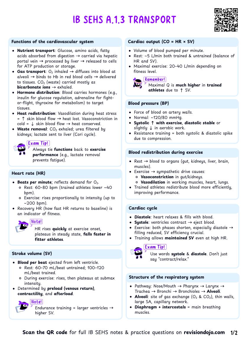 IB SEHS A.1.3 Transport Cheatsheet