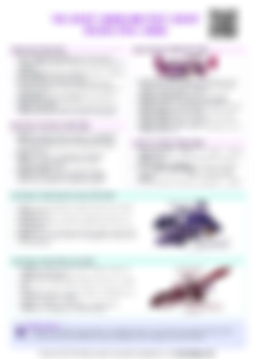 IB History: Section 16 - The Soviet Union and Post-Soviet Russia (1924–2000) — cheatsheet preview