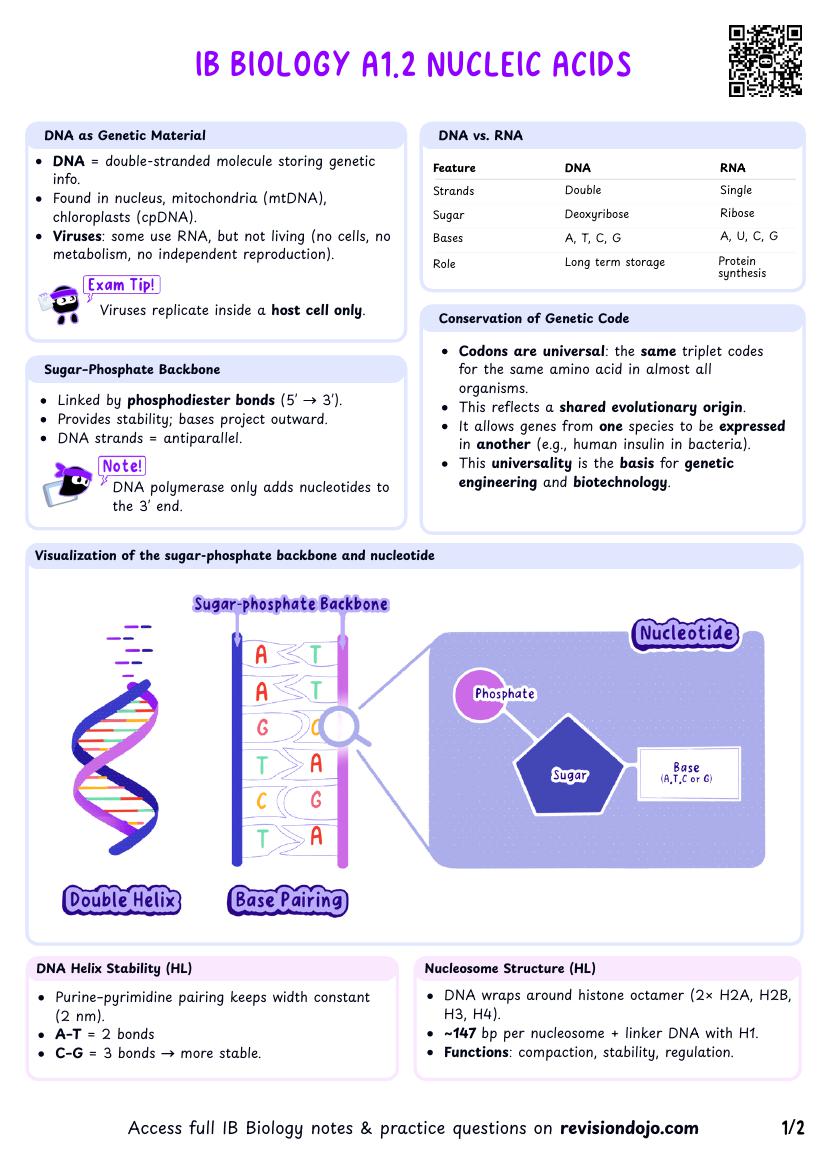 IB Bio A1.2 Nucleic acids