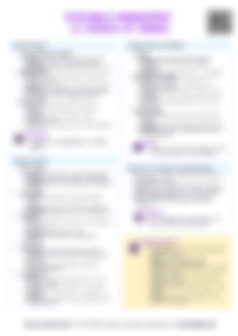 IB BM 3.2 Sources of finance Cheatsheet — cheatsheet preview