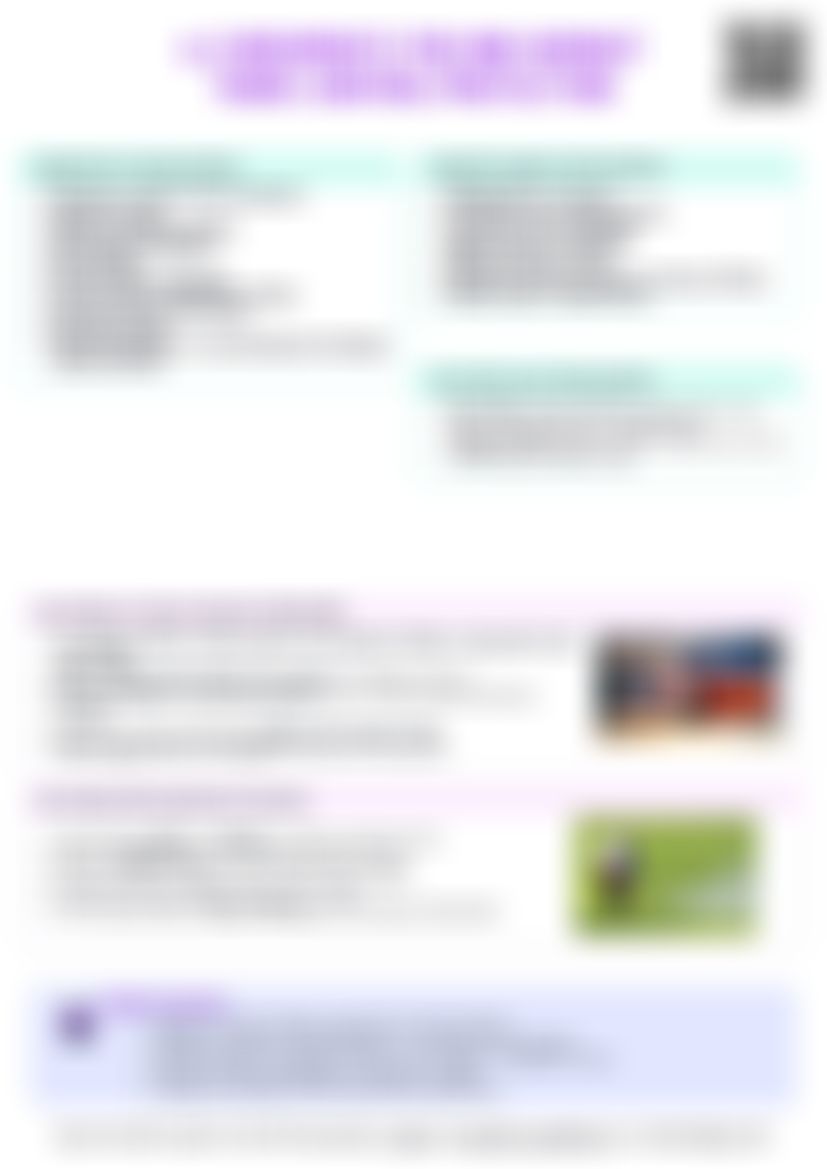 IB Econ 4.3 Arguments For and Against Trade Protection Cheatsheet — cheatsheet preview