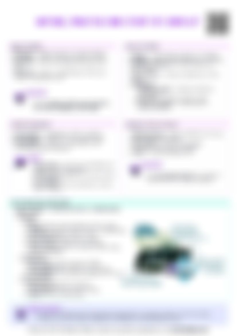 IB Global Politics 4.3 Nature, practice and study of conflict Cheat Sheet — cheatsheet preview