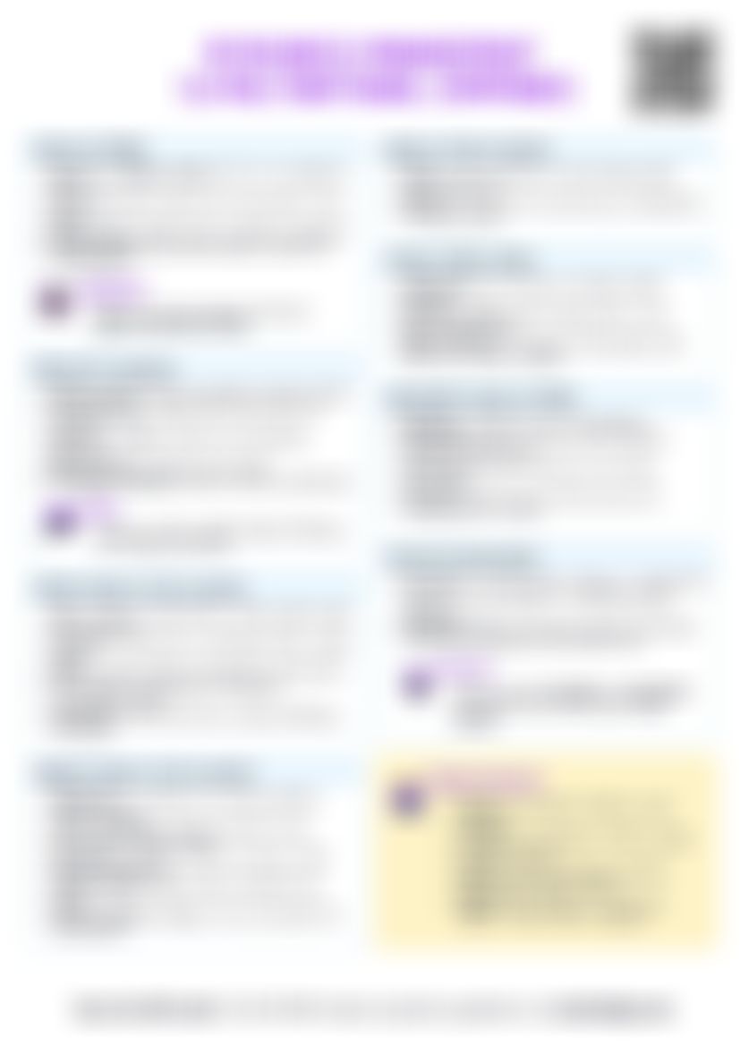 IB BM 1.6 Multinational companies — cheatsheet preview