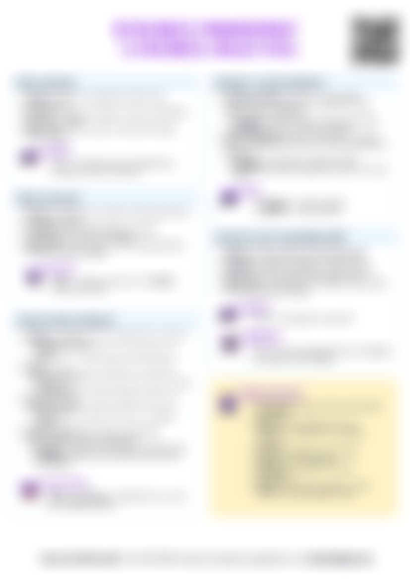 IB BM 1.3 Business objectives Cheatsheet — cheatsheet preview