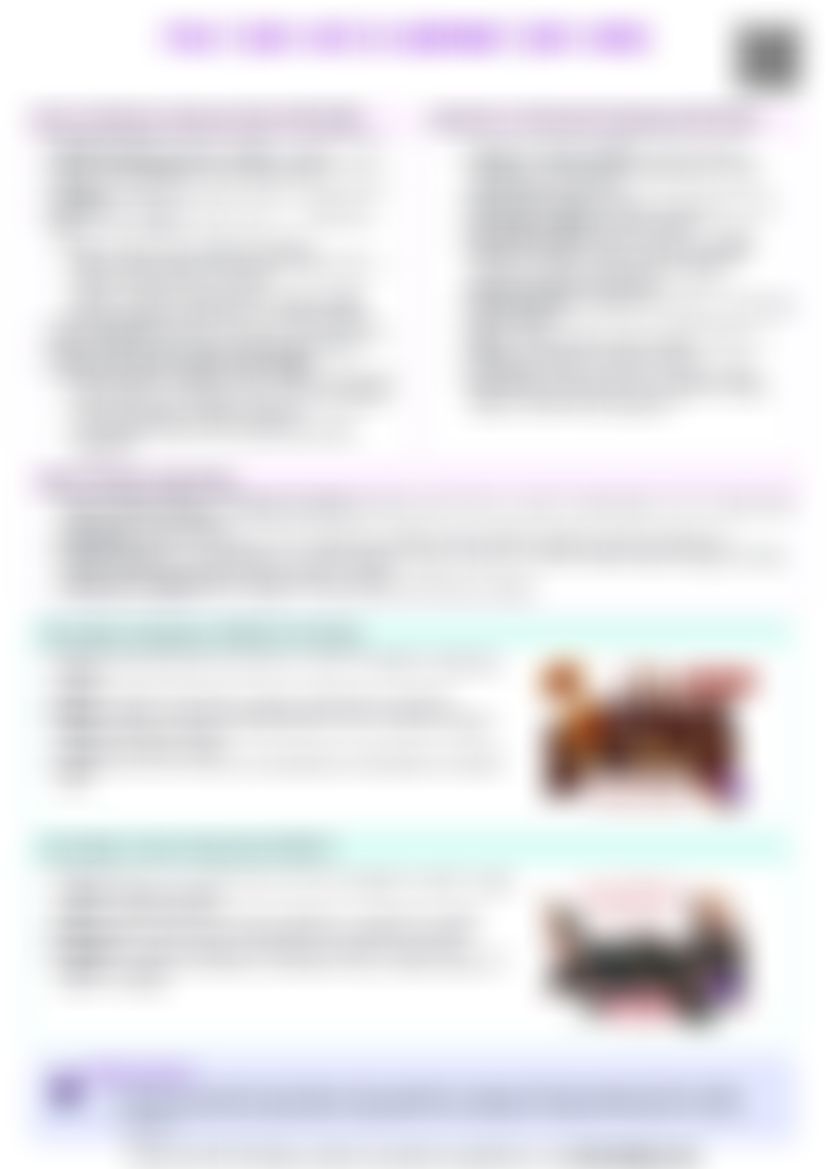 IB History: Section 11 - Italy (1815–1871) and Germany (1815–1890) — cheatsheet preview